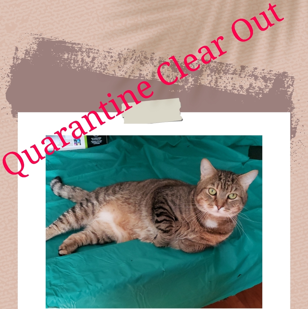 Quarantine Clear Out
